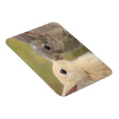 Zwei Bündel küssen Rechteckmagnet Magnet (Rechte Seite)