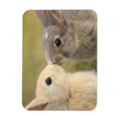 Zwei Bündel küssen Rechteckmagnet Magnet (Vertikal)