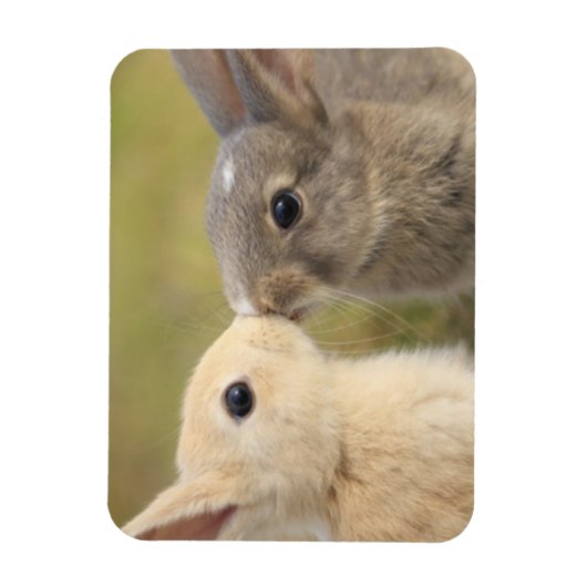 Zwei Bündel küssen Rechteckmagnet Magnet (Vertikal)