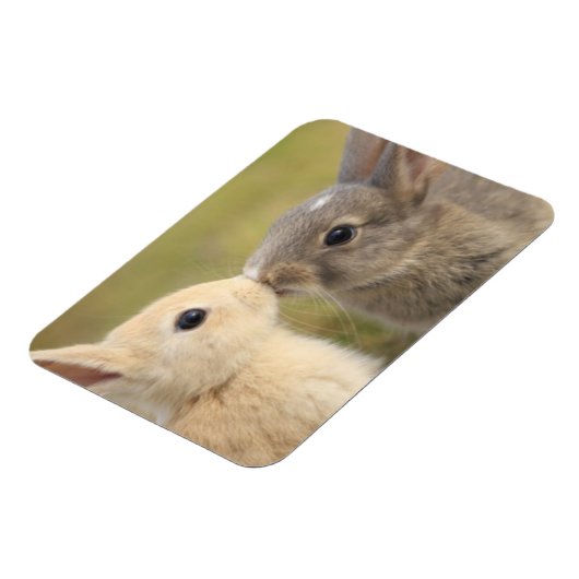 Zwei Bündel küssen Rechteckmagnet Magnet (Linke Seite)