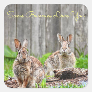 Zwei Bunnies, einige Bunnies Liebe Sie *personalis Quadratischer Aufkleber