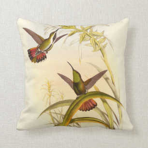 Zwei bunte Kolibris, die die gleiche Blume Kissen