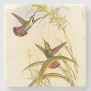 Zwei bunte Kolibris, die die gleiche Blume Steinuntersetzer