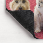 Zwei Cairin Terrier und ein Westie Mousepad (Ecke)