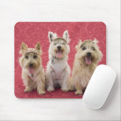 Zwei Cairin Terrier und ein Westie Mousepad (Mit Mouse)