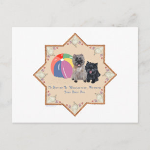 Zwei Cairn-Terrier Meeresschnecken Postkarte