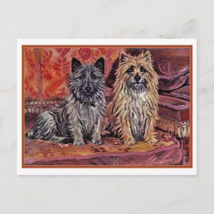 Zwei Cairn-Terrier Postkarte