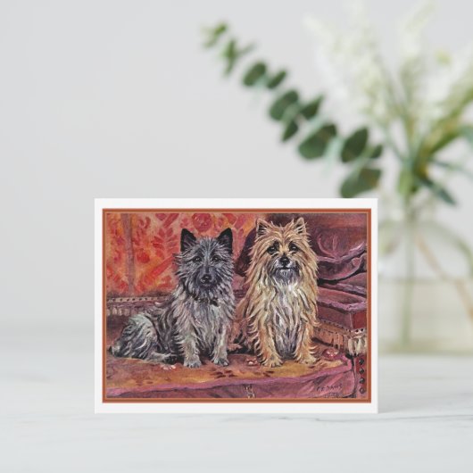Zwei Cairn Terriers Postkarte (Stehend Vorderseite)