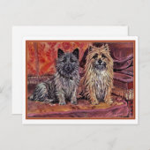 Zwei Cairn Terriers Postkarte (Vorne/Hinten)