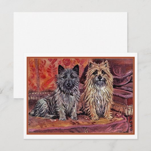 Zwei Cairn Terriers Postkarte (Vorne/Hinten)