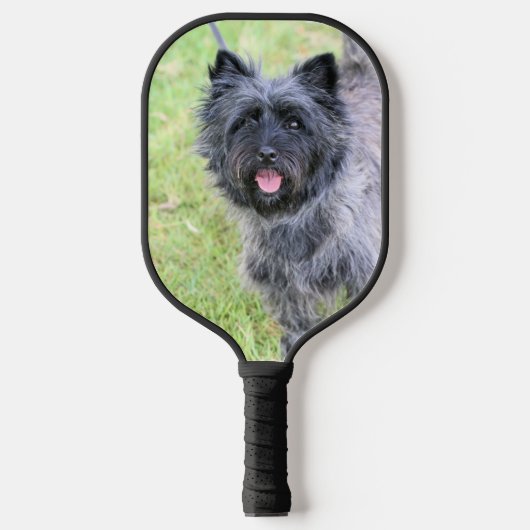 Zwei Cairns Pickleball Schläger (Vorderseite)