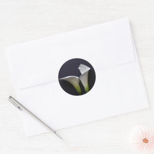 Zwei Calla-Lilien auf schwarz Runder Aufkleber
