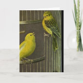 Zwei Canaries, die Kunst-Gruß-   Karte malen (Vorderseite)