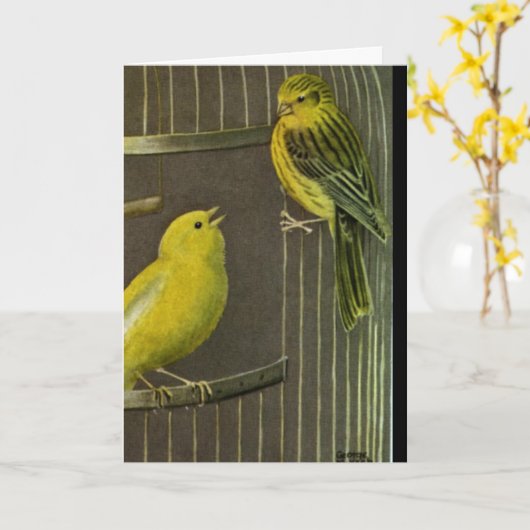 Zwei Canaries, die Kunst-Gruß-   Karte malen (Gelbe Blume)