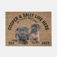 Zwei Cane Corso Personalisierter Hund Lover