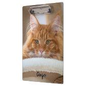 Zwei Cat-Fotos Klemmbrett (Links)