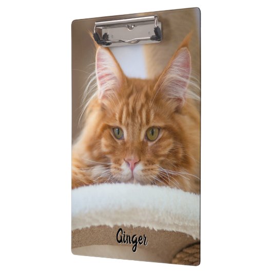 Zwei Cat-Fotos Klemmbrett (Links)