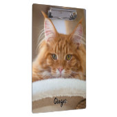 Zwei Cat-Fotos Klemmbrett (Rechts)