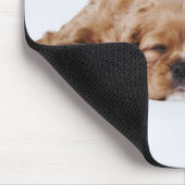 Zwei Cavalier King Charles Spaniel Welpen Mousepad (Ecke)