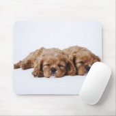 Zwei Cavalier King Charles Spaniel Welpen Mousepad (Mit Mouse)