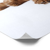 Zwei Cavalier King Charles Spaniel Welpen Poster (Ecke)
