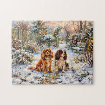 Zwei Cavalier Spaniels auf Winterweg