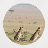 Zwei Cheetahs auf dem Ausblick Etiketten (Design 2)