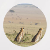 Zwei Cheetahs auf dem Ausblick Etiketten (Design 1)