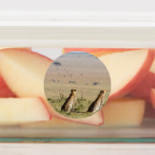 Zwei Cheetahs auf dem Ausblick Etiketten (Befestigt)