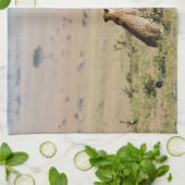 Zwei Cheetahs im Blick Handtuch (Gefaltet)
