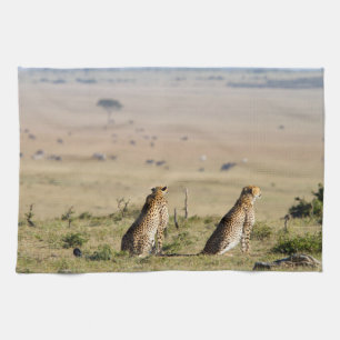 Zwei Cheetahs im Blick Handtuch