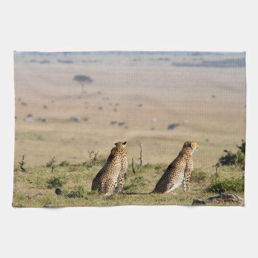 Zwei Cheetahs im Blick Handtuch (Horizontal)