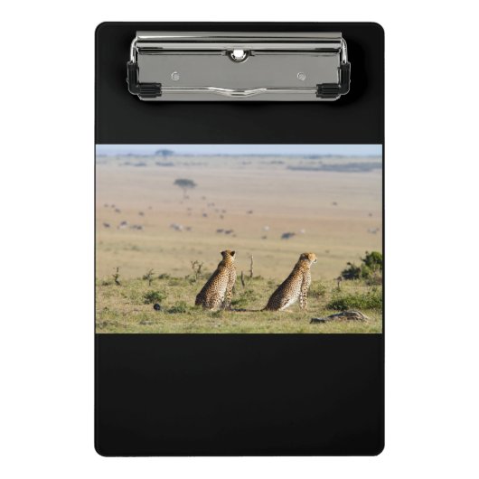 Zwei Cheetahs im Blick Mini Klemmbrett (Vorderseite)