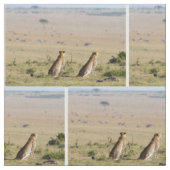 Zwei Cheetahs im Blick Stoff (Nahaufnahme)