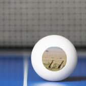 Zwei Cheetahs im Blick Tischtennisball (Netto)