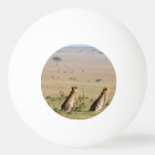 Zwei Cheetahs im Blick Tischtennisball (Vorderseite)
