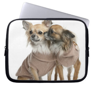 Zwei Chihuahua gekleidet (2 Jahre alt) Laptopschutzhülle
