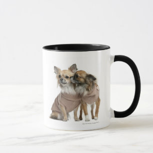 Zwei Chihuahua gekleidet (2 Jahre alt) Tasse