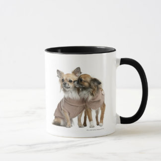 Zwei Chihuahua gekleidet (2 Jahre alt) Tasse
