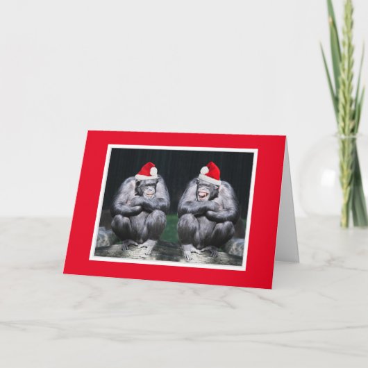 ZWEI CHIMPS IN WEIHNACHTSMANNMÜTZEN CHRISTMAS CARD KARTE (Vorderseite)