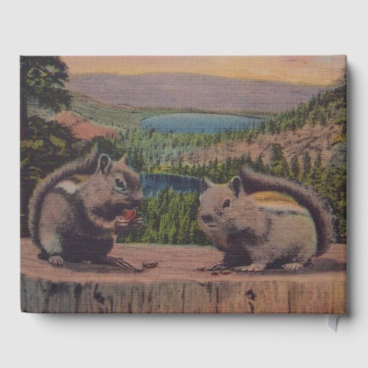 Zwei Chipsteine auf Stump in Mountains Lake Gästebuch (Rückseite)