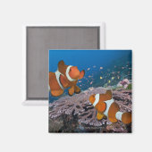 Zwei Clownfische Magnet (Vorderseite/Rückseite)