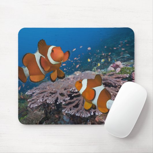 Zwei Clownfische Mousepad (Mit Mouse)