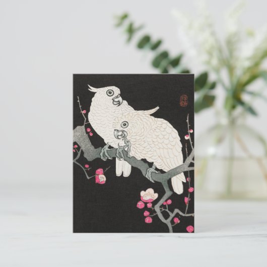 Zwei Cockatoo und Plum Blossom von Ohara Koson Postkarte (Stehend Vorderseite)