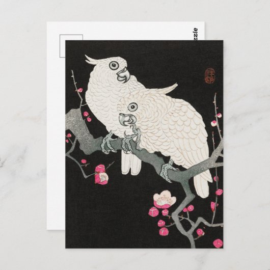 Zwei Cockatoo und Plum Blossom von Ohara Koson Postkarte (Vorne/Hinten)
