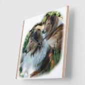 Zwei Collies mit Sable Rough Quadratische Wanduhr (Winkel)