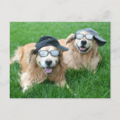 Zwei Coole Golden Retrievers in Hats und Sonnenbri Postkarte (Vorderseite)