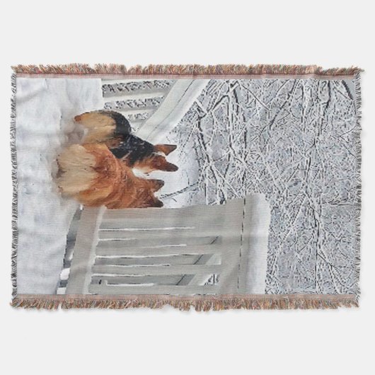 Zwei Corgis im Schnee Decke (Vorderseite)