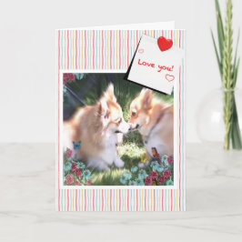 Zwei Corgis treffen Valentine Feiertagskarte