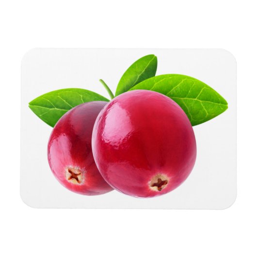 Zwei Cranbeeren Magnet (Horizontal)